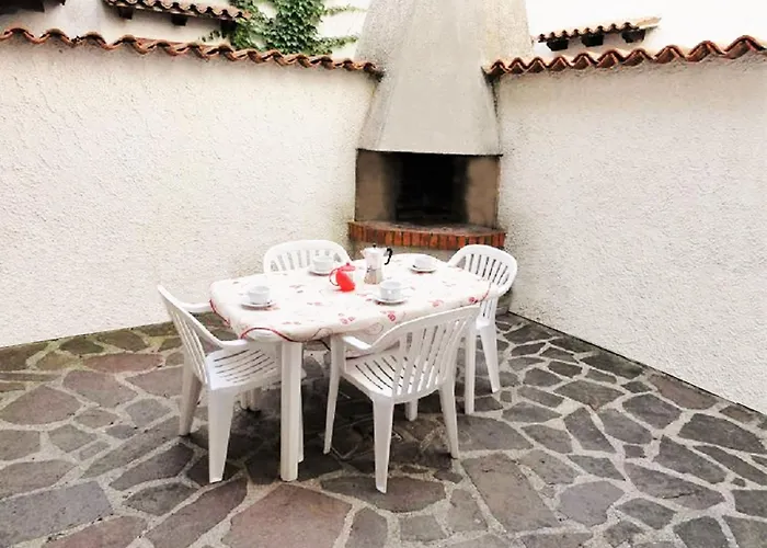 In A With Garden Bibione